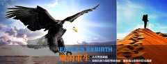 鹰的重生-新员工拓展